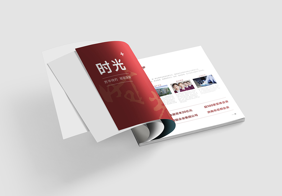 銀豐生物集團企業畫冊設計