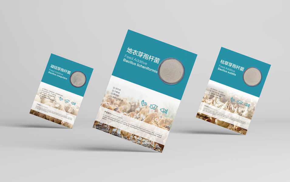 農業畜牧業畫冊設計、封套單頁設計